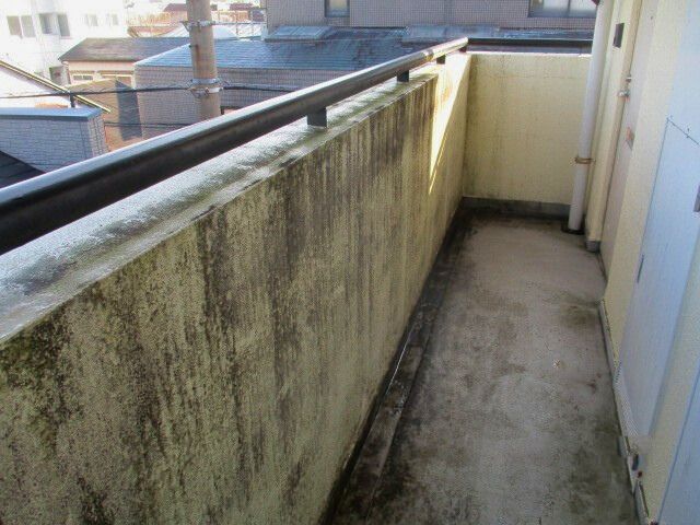 壁面清掃の前後