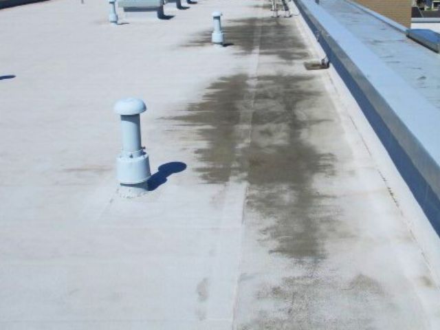 屋上清掃の前後