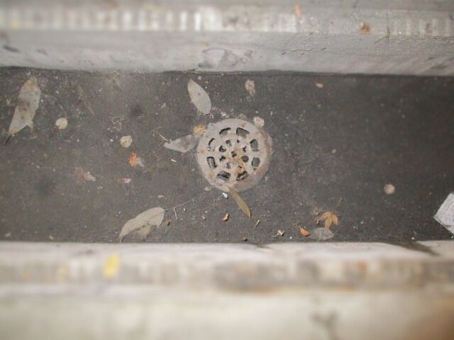 排水溝清掃の前後