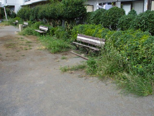 除草作業の前後